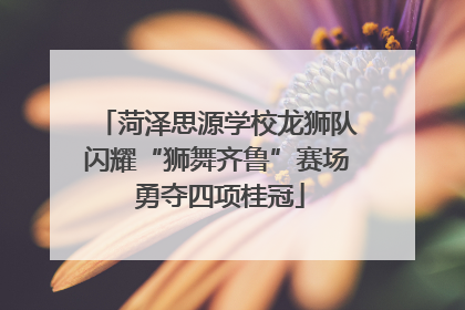 菏泽思源学校龙狮队闪耀“狮舞齐鲁”赛场 勇夺四项桂冠