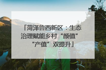 菏泽鲁西新区：生态治理赋能乡村“颜值”“产值”双提升