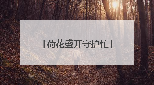 荷花盛开守护忙