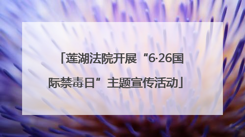 莲湖法院开展“6·26国际禁毒日”主题宣传活动