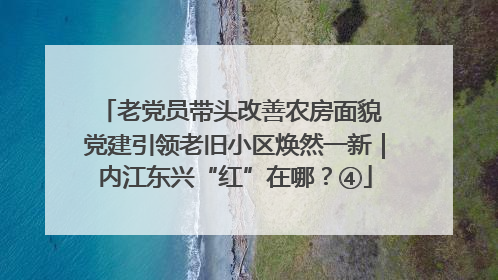 老党员带头改善农房面貌 党建引领老旧小区焕然一新｜内江东兴“红”在哪？④