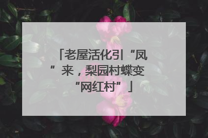 老屋活化引“凤”来，梨园村蝶变“网红村”