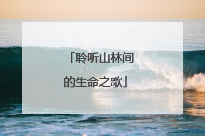 聆听山林间的生命之歌