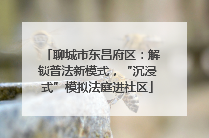 聊城市东昌府区：解锁普法新模式，“沉浸式”模拟法庭进社区