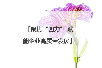 聚焦“四力” 赋能企业高质量发展