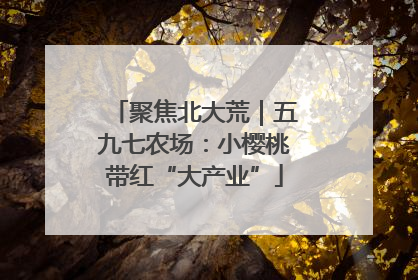 聚焦北大荒｜五九七农场：小樱桃带红“大产业”