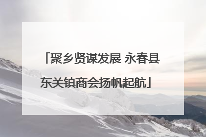 聚乡贤谋发展 永春县东关镇商会扬帆起航