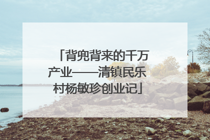 背兜背来的千万产业——清镇民乐村杨敏珍创业记