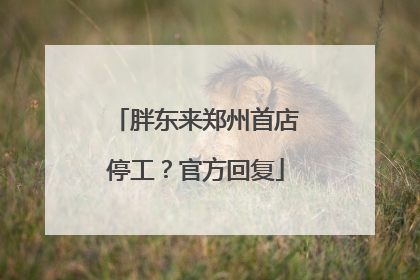 胖东来郑州首店停工？官方回复