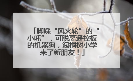 脚踩“风火轮”的“小吒”，可脱离遥控板的机器狗，泡桐树小学来了新朋友！