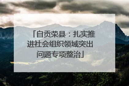 自贡荣县：扎实推进社会组织领域突出问题专项整治