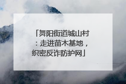 舞阳街道城山村：走进苗木基地，织密反诈防护网