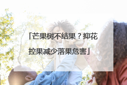 芒果树不结果？抑花控果减少落果危害
