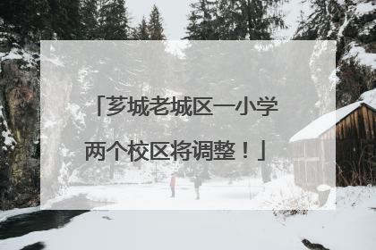 芗城老城区一小学两个校区将调整！