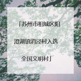 苏州市相城区阳澄湖镇消泾村入选全国文明村