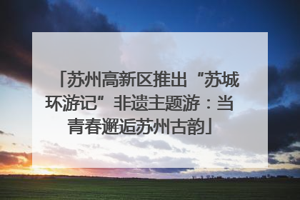 苏州高新区推出“苏城环游记”非遗主题游：当青春邂逅苏州古韵