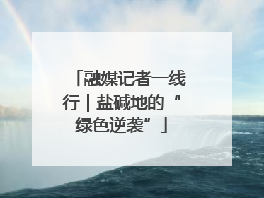 融媒记者一线行｜盐碱地的“绿色逆袭”
