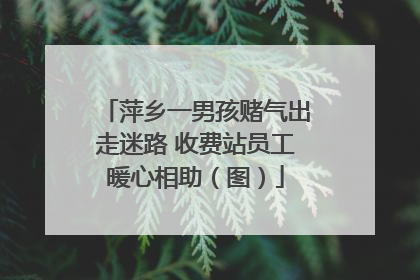 萍乡一男孩赌气出走迷路 收费站员工暖心相助（图）