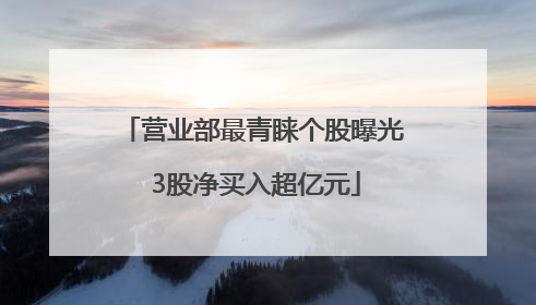 营业部最青睐个股曝光 3股净买入超亿元