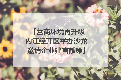营商环境再升级 内江经开区举办沙龙邀请企业建言献策