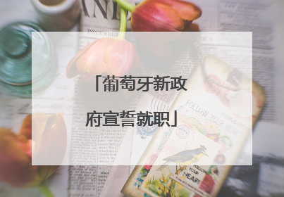 葡萄牙新政府宣誓就职