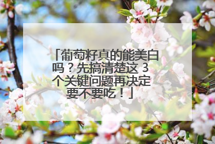 葡萄籽真的能美白吗？先搞清楚这 3 个关键问题再决定要不要吃！