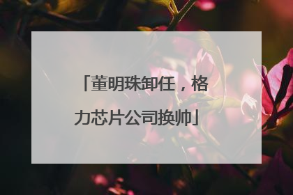 董明珠卸任，格力芯片公司换帅