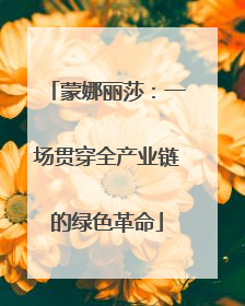 蒙娜丽莎：一场贯穿全产业链的绿色革命