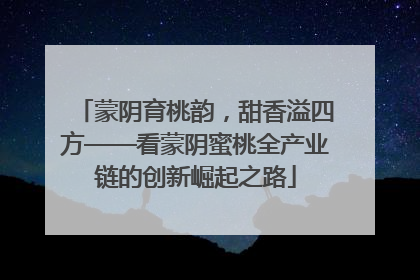 蒙阴育桃韵，甜香溢四方——看蒙阴蜜桃全产业链的创新崛起之路
