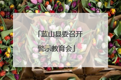 蓝山县委召开警示教育会