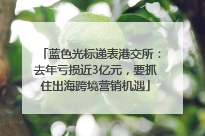 蓝色光标递表港交所：去年亏损近3亿元，要抓住出海跨境营销机遇