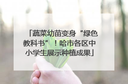 蔬菜幼苗变身“绿色教科书”！哈市各区中小学生展示种植成果