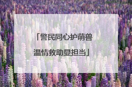 警民同心护萌兽 温情救助显担当