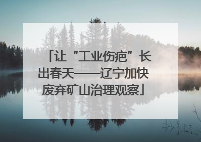 让“工业伤疤”长出春天——辽宁加快废弃矿山治理观察