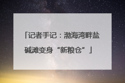 记者手记：渤海湾畔盐碱滩变身“新粮仓”