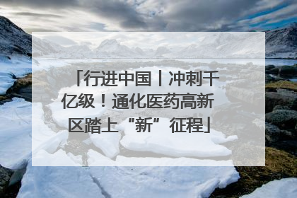 行进中国丨冲刺千亿级！通化医药高新区踏上“新”征程