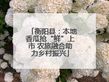 衡阳县：本地香瓜抢“鲜”上市 农旅融合助力乡村振兴