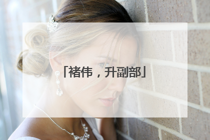 褚伟，升副部
