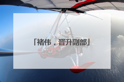 褚伟，晋升副部