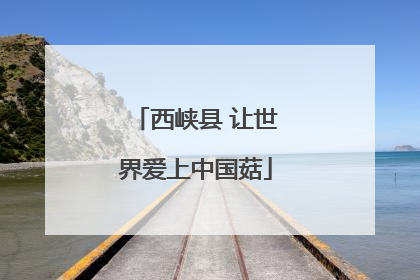 西峡县 让世界爱上中国菇