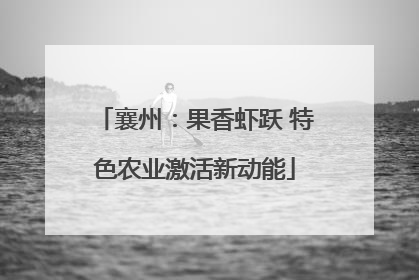 襄州：果香虾跃 特色农业激活新动能