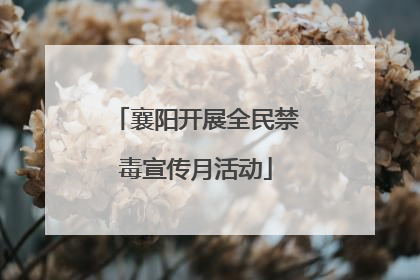 襄阳开展全民禁毒宣传月活动