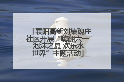 襄阳高新刘集魏庄社区开展“嗨翻六一 泡沫之夏 欢乐水世界”主题活动