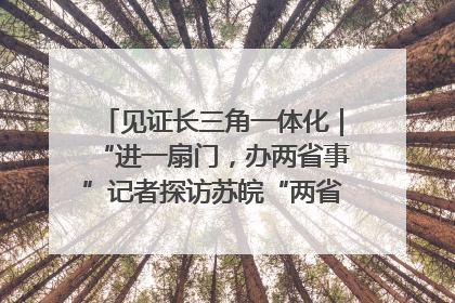 见证长三角一体化｜“进一扇门，办两省事”记者探访苏皖“两省一街”警务室