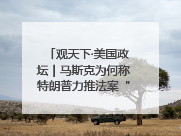 观天下·美国政坛｜马斯克为何称特朗普力推法案“令人作呕”