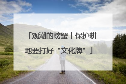 观潮的螃蟹丨保护耕地要打好“文化牌”