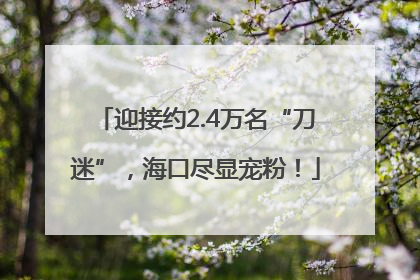 迎接约2.4万名“刀迷”，海口尽显宠粉！