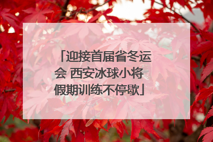 迎接首届省冬运会 西安冰球小将假期训练不停歇