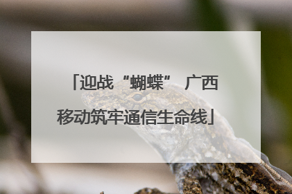 迎战“蝴蝶” 广西移动筑牢通信生命线