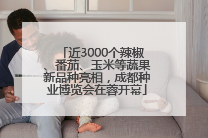 近3000个辣椒、番茄、玉米等蔬果新品种亮相，成都种业博览会在蓉开幕